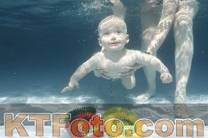 Photo 4227282