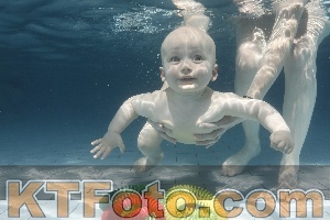 Photo 4227283