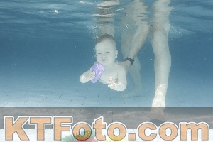Photo 4227287