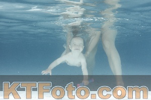 Photo 4227290