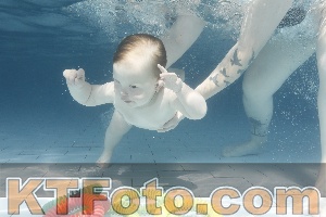 Foto 4227292