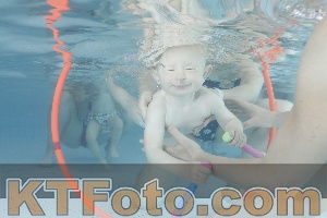 Foto 4227354