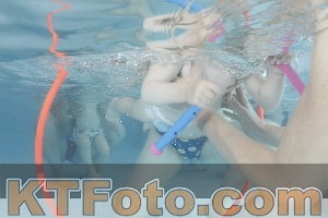 Foto 4227355