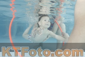 Foto 4227362