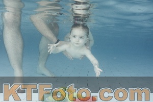 Foto 4227441