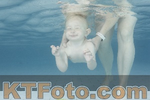 Foto 4227454