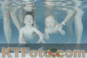 Foto 4227462