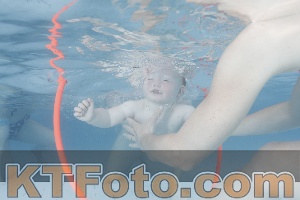 Foto 4227572
