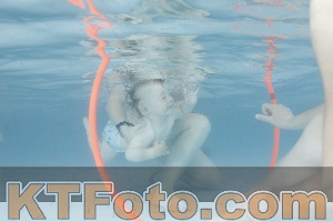 Foto 4227573
