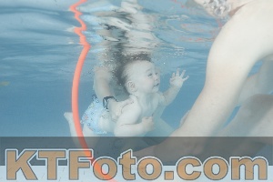 Foto 4227574