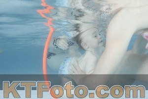 Foto 4227575