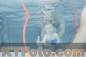 Foto 4227576