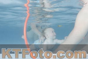 Foto 4227579