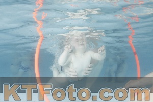 Foto 4227582