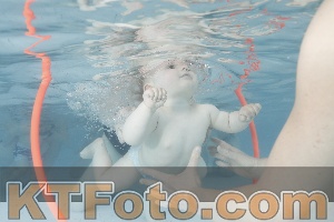 Foto 4227583