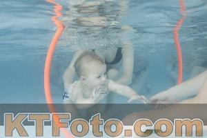 Foto 4227585