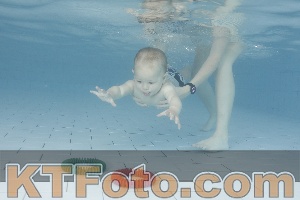 Foto 4227612