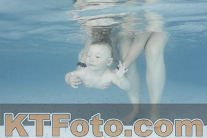 Foto 4227616