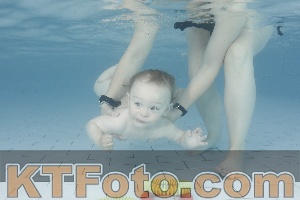 Foto 4227618