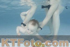 Foto 4227619