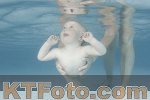 Photo 4227635