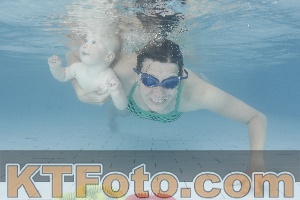 Photo 4227636