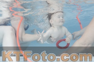 Foto 4227680