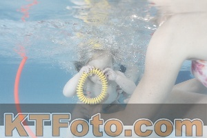 Foto 4227685