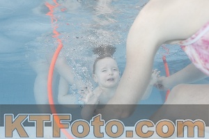 Photo 4227687