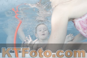 Photo 4227688