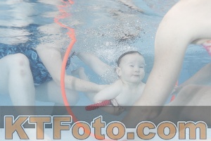 Photo 4227689