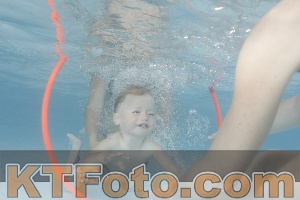 Photo 4227691