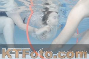 Photo 4227692