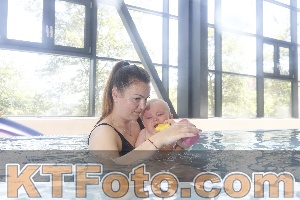 Photo 4227946