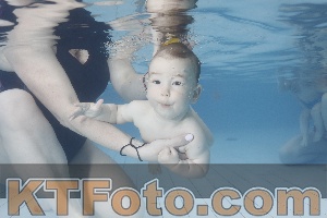 Photo 4227959