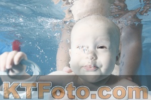 Photo 4227960