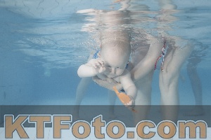 Photo 4227961
