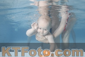 Photo 4227962