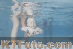Foto 4227964