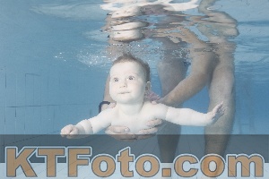 Foto 4227968