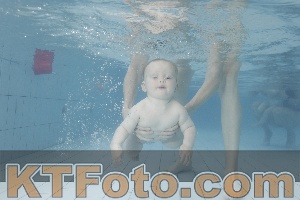 Foto 4227972