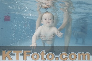 Photo 4227973