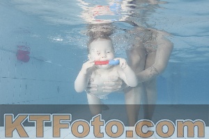 Photo 4227974