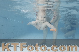 Photo 4227979
