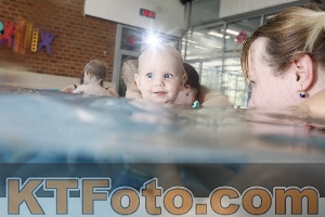 Photo 4228026