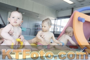 Photo 4228068