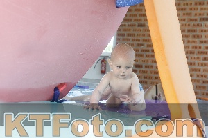 Photo 4228070