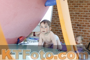 Photo 4228071
