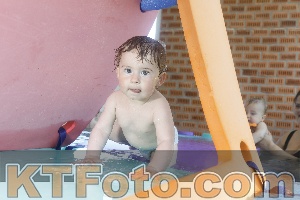 Photo 4228072