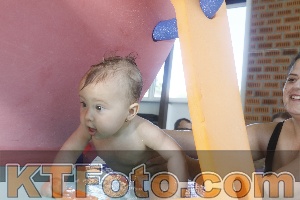 Photo 4228073
